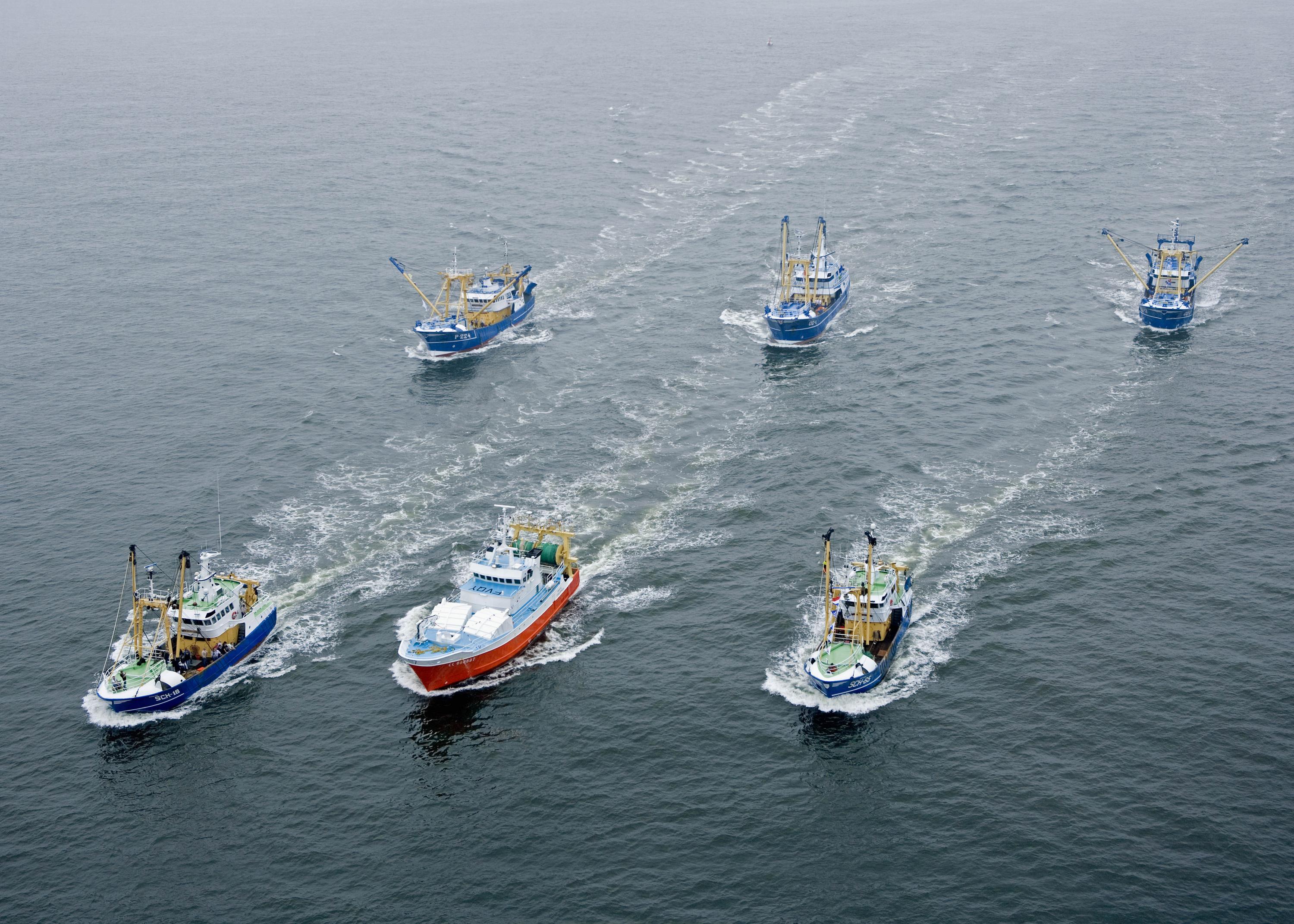 Eine moderne Flotte 